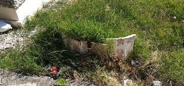 Silipo: "Cimitero di Via Paglia, abbiate rispetto almeno di loro!"