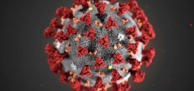 Coronavirus, il bollettino: 1566 nuovi contagi e 6 vittime (ELENCO PER PROVINCE)
