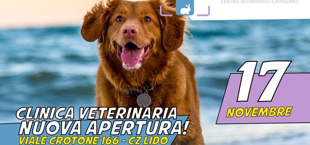 Amici animali: nuova maxi clinica veterinaria a Catanzaro