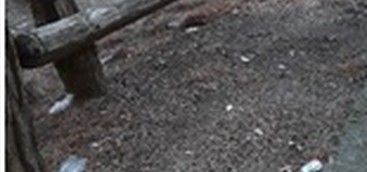 CATANZARO, PINETA SIANO , RIPULITA DALLA SIECO L’AREA IN CUI ERANO STATI CONFERITI ILLECITAMENTE RIFIUTI