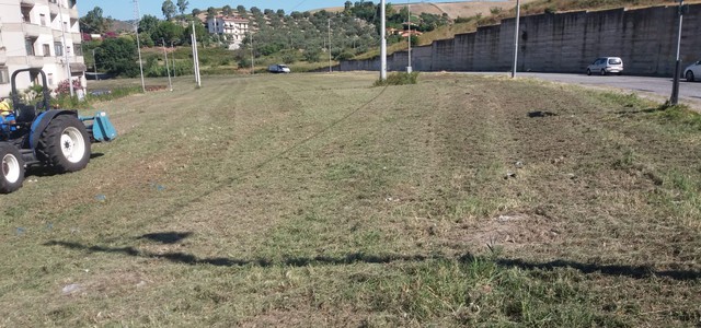 CAVALLARO: “SU FACEBOOK IL PRIMO VIDEO DELL’OPERAZIONE TRASPARENZA SUL VERDE PUBBLICO”