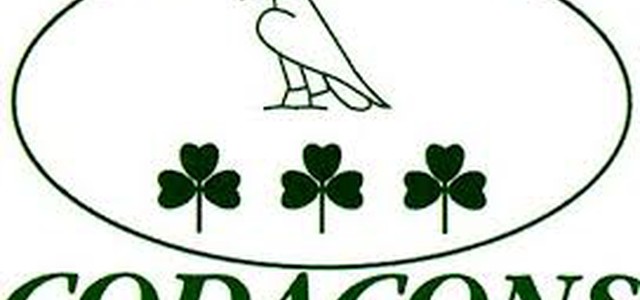 Audizione Sorical in Regione: Il Codacons “siete per sempre coinvolti”, Vergognoso scaricare la responsabilità sui Calabresi.