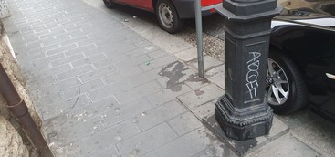 Rotundo: "Stato di sporcizia di Catanzaro invece di migliorare peggiora" (FOTO)