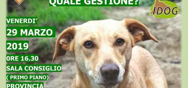 “Randagismo nel Sud: quale gestione?”, questo il tema della conferenza  del 29 marzo a Catanzaro