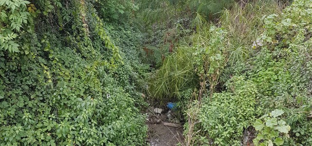 Iniziata la bonifica del canalone che costeggia la scuola Croci a Santa Maria