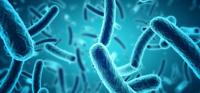 Virus influenzale, a Febbraio il peggior picco di contagi degli ultimi 16 anni.
