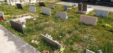 Catanzaro- Silipo: Ridiamo dignità al Cimitero di Via Paglia