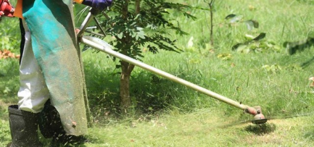 In Via Caprera, quartiere Lido, la cura del verde è affidata ai volontari - Gironda: "Costo 0 per l'ente, ottimo modello di cittadinanza attiva"