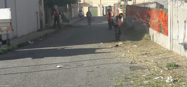 Rotundo: "Sfalcio finalmente eseguito in via Conti Ruffo"