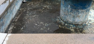 Incuria e degrado da nord a sud, da via Fares a Piazza Brindisi. La denuncia di Eugenio Riccio