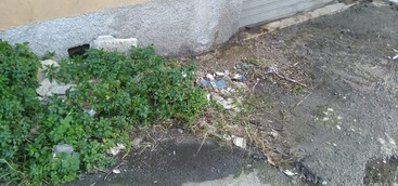 Celia: "Cassiodoro completamente abbandonato"